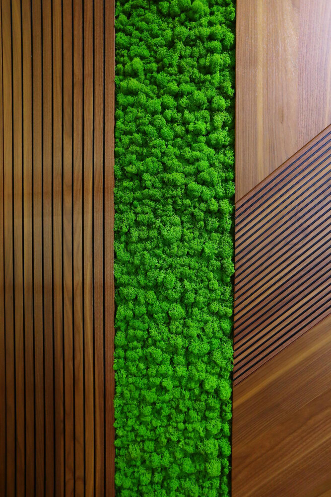 parete muschio parete muschio